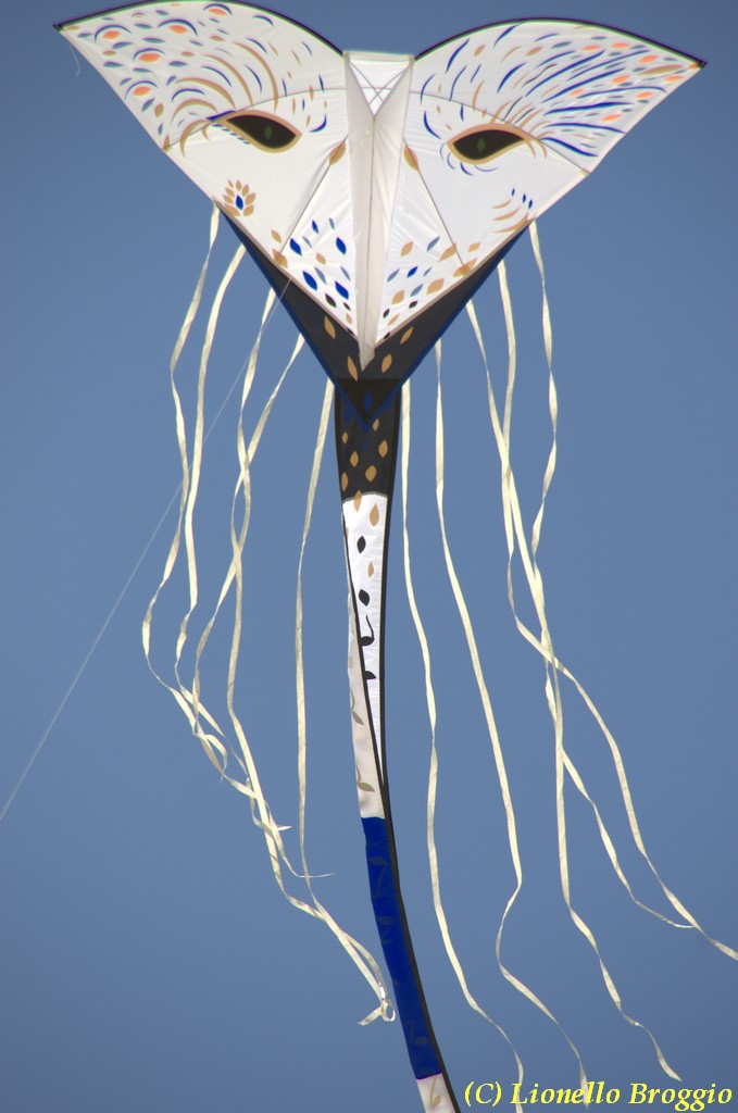 32 FESTIVAL CERVIA 2012 - 238.jpg